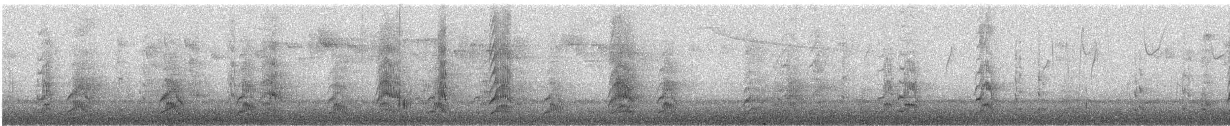 ズアカウロコインコ - ML500938921