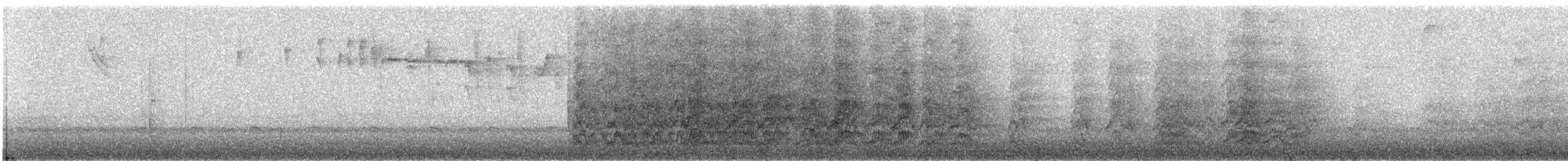 ズアカウロコインコ - ML500939041