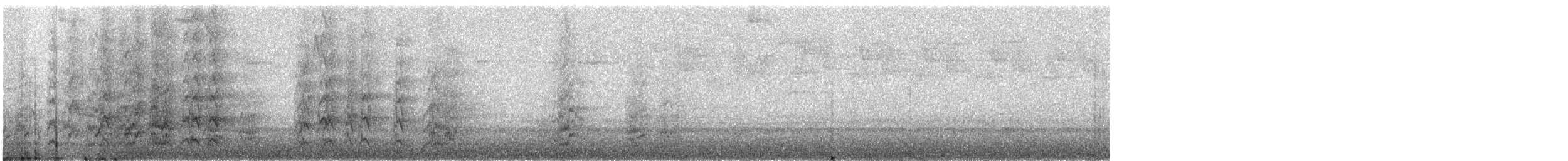 ズアカウロコインコ - ML500939271