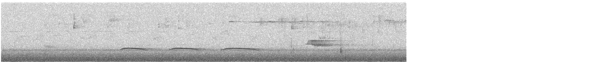 Küstenkordilleren-Kleintyrann - ML500948391