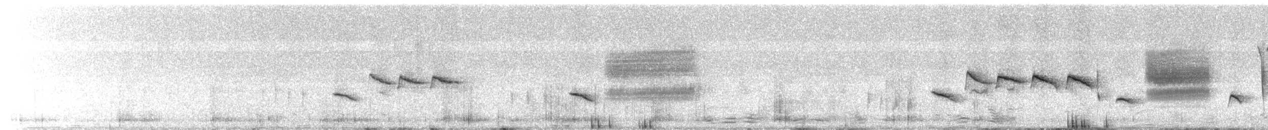 Troglodyte de Latham (aequatorialis) - ML500965801