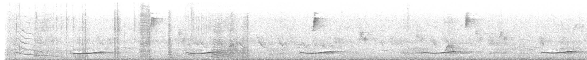 Pacific Koel - ML501032091