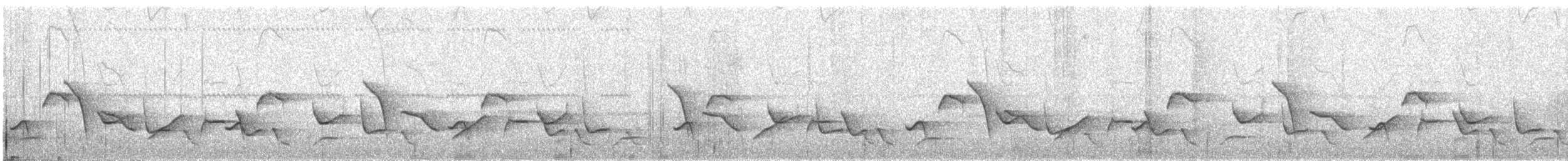 インカマユミソサザイ - ML501080381