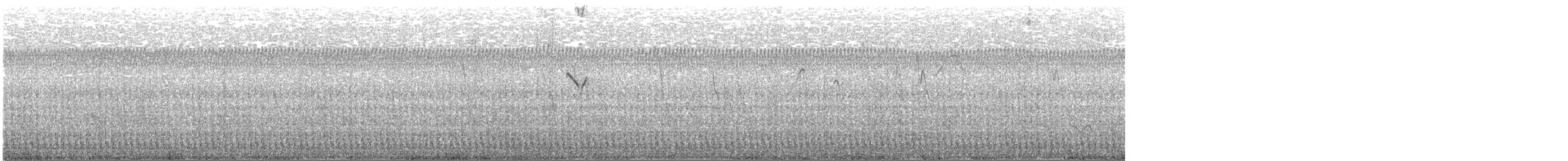 Moucherolle à tête blanche - ML501104611