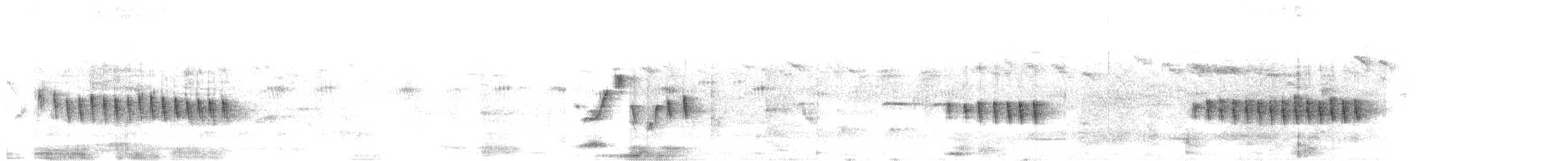Klappergrasmücke (curruca/blythi/halimodendri) - ML501130661