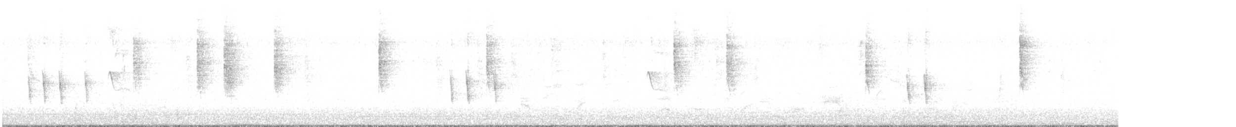 Дрізд-короткодзьоб плямистоволий - ML501140611