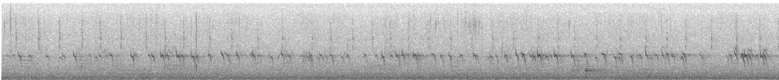 Fichtenkreuzschnabel - ML501185281