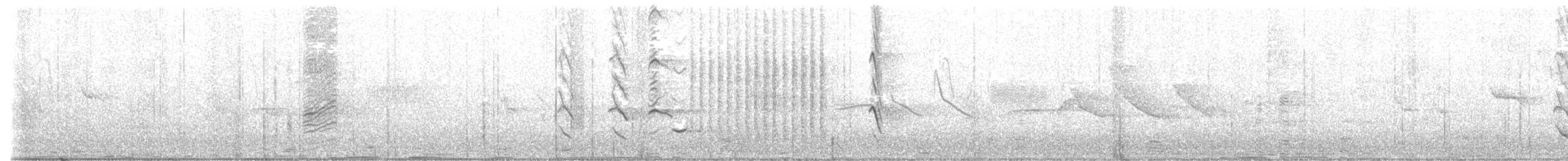 Strichelkopfstärling - ML501219571