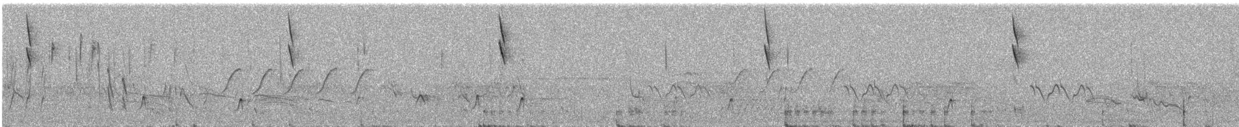 コバシマユシトド - ML501222021