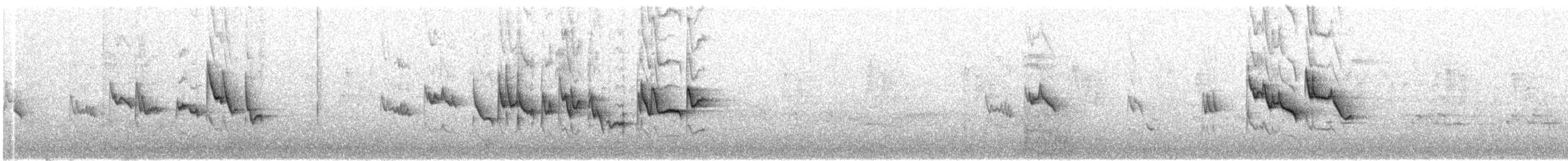 Graumantel-Brillenvogel - ML501241261