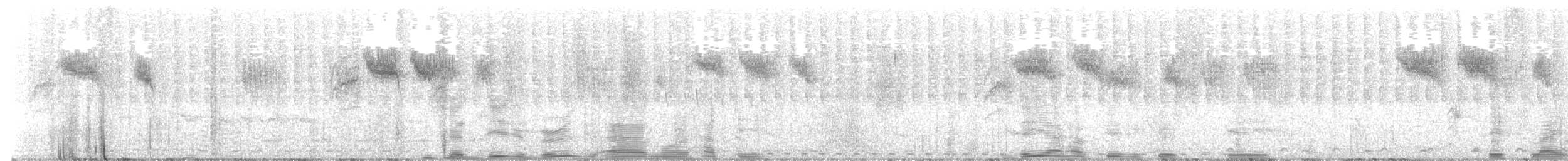 Stripe-throated Jery (Subdesert) - ML501241471