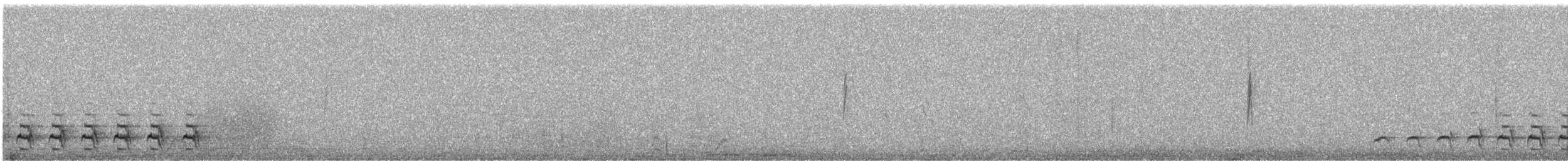 Mountain Quail - ML501342251