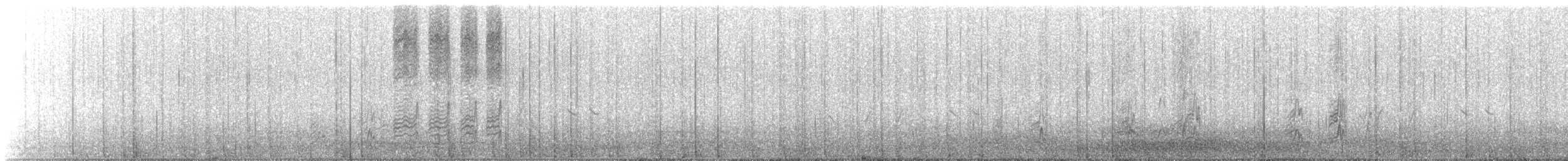Black-faced Woodswallow - ML501446131