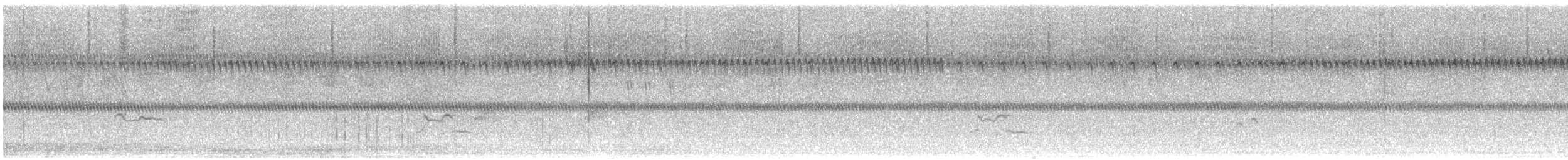 アメリカムナグロ - ML501451161
