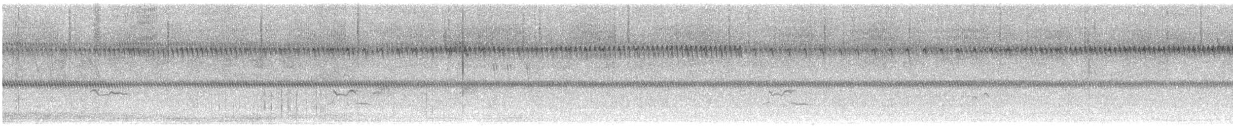 חופזי אמריקני - ML501451161