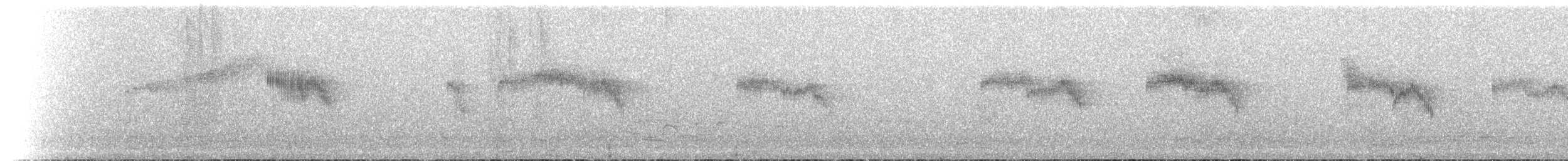 Malagasy Swift - ML501497561