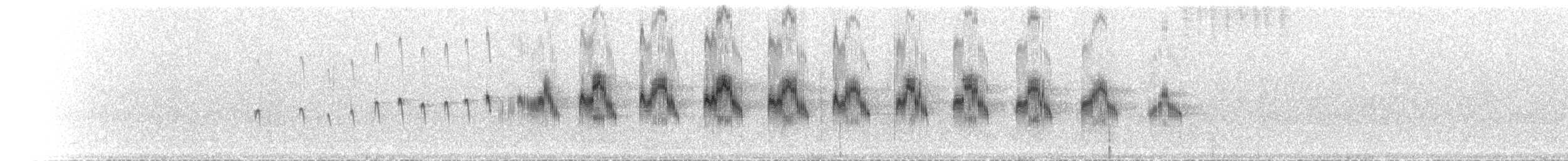 Malagasy Swift - ML501497711