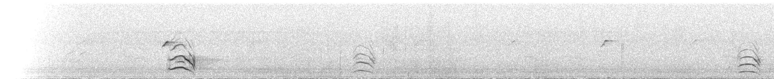 マダガスカルチュウヒ - ML501498021