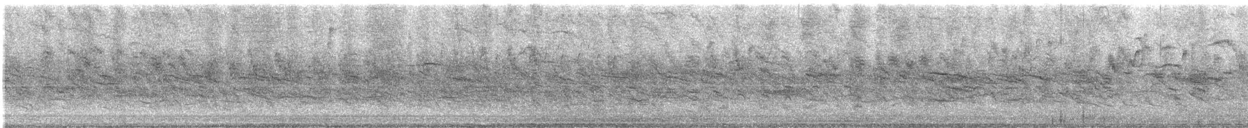 Red-billed Quelea - ML501513721