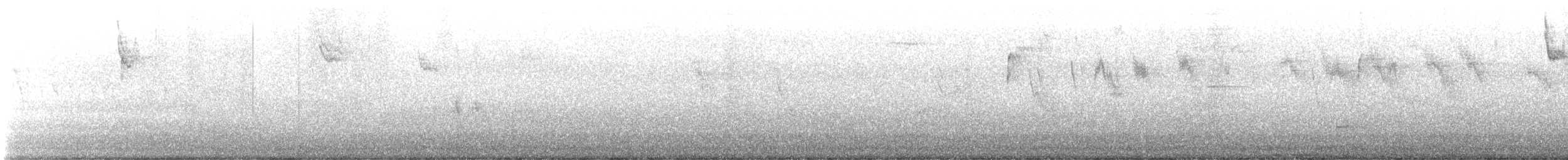 new world sparrow sp. - ML501513881