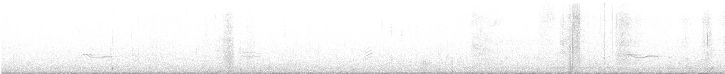 Black-bellied Plover - ML501528821