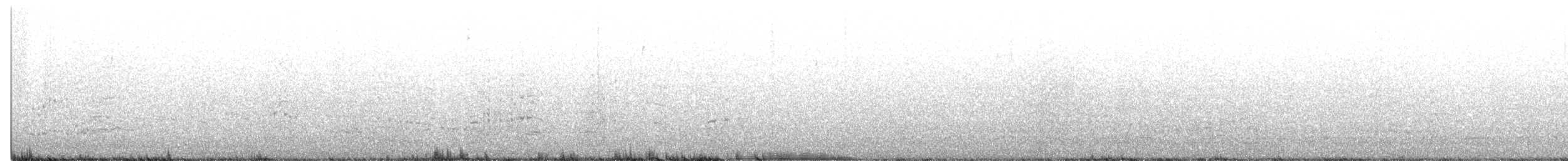 オーストラリアシロカツオドリ - ML501600301