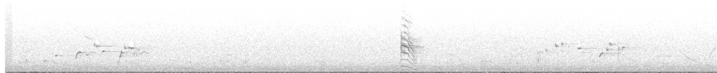 Râle à poitrine grise - ML501606631