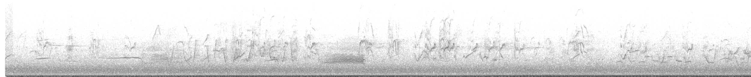Rufous Whistler - ML501607531