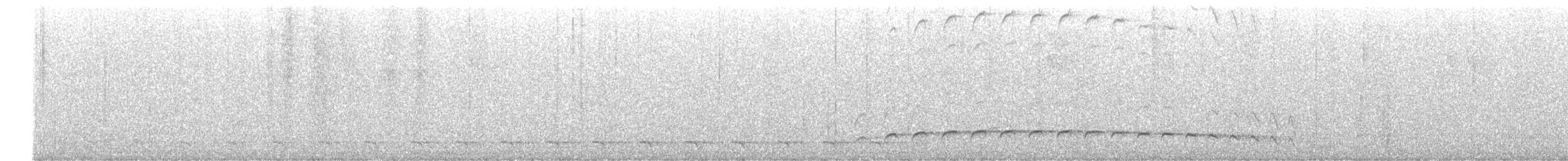Fleckenbrust-Ameisenvogel - ML501632371