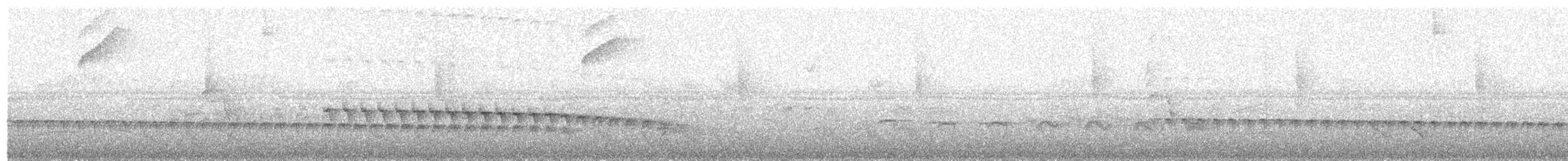 Weißstirn-Ameisenschnäpper - ML501663201