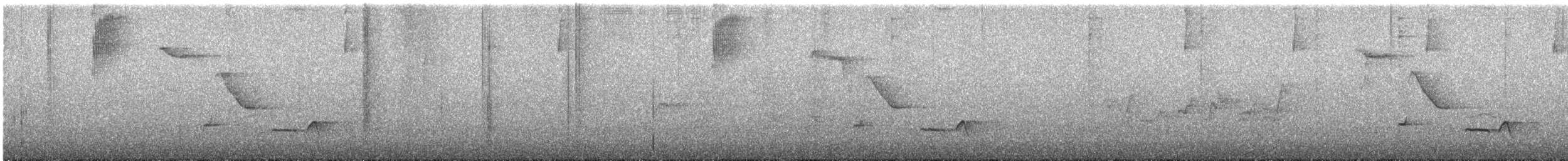Troglodyte à poitrine grise - ML501683711