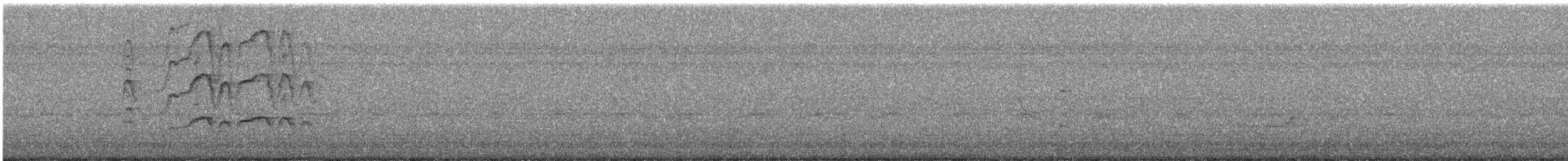 Kara Karınlı Islıkçı Ördek - ML501718411