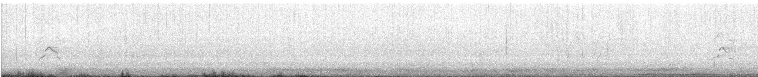 裏海燕鷗 - ML501733361