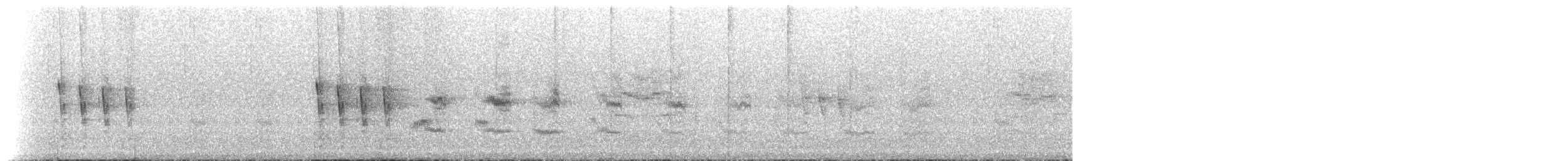 チェバートオオハシモズ - ML501734251