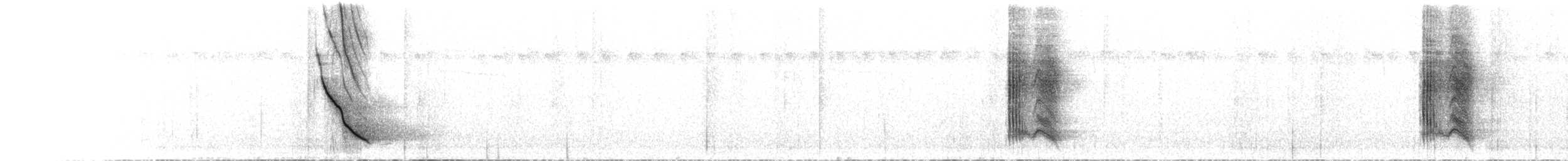 Ванга-вузькодзьоб білогорла - ML501735781