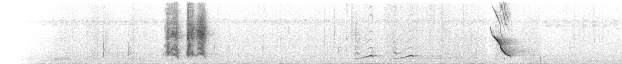 Ванга-вузькодзьоб білогорла - ML501735791