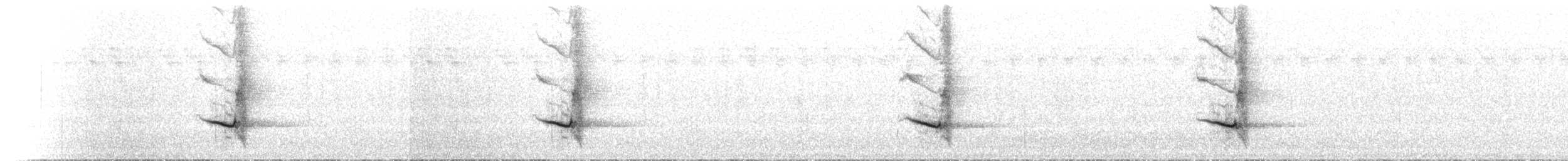Ванга-вузькодзьоб білогорла - ML501735801