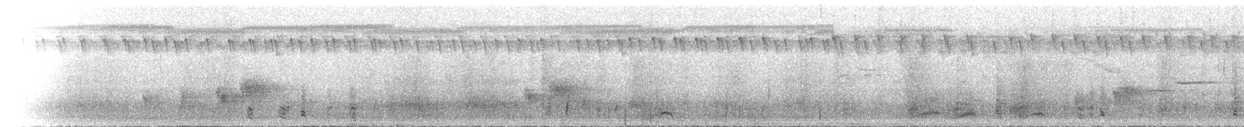 Weißbrust-Stelzenralle - ML501736011