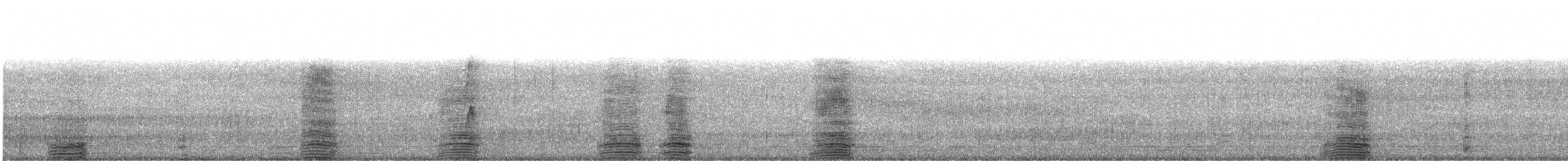 husička černobřichá (ssp. fulgens) - ML501756961