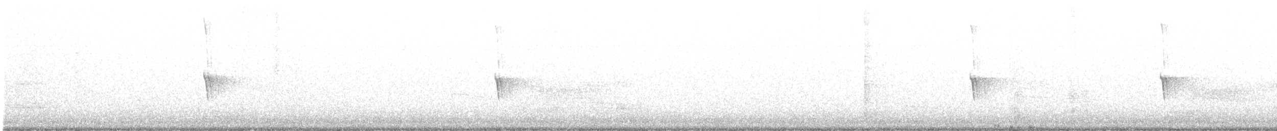 Weißbauch-Phoebetyrann - ML501762281