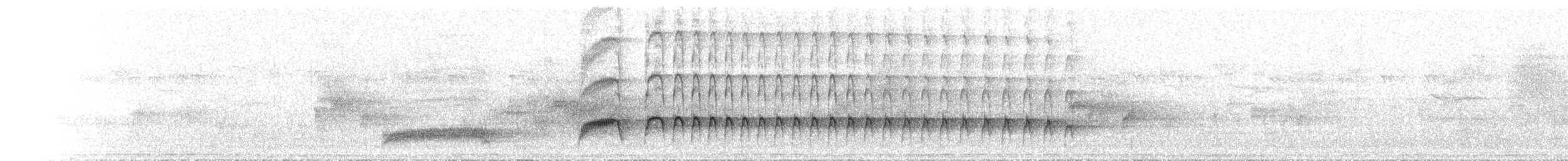 Weißbrust-Stelzenralle - ML501788011