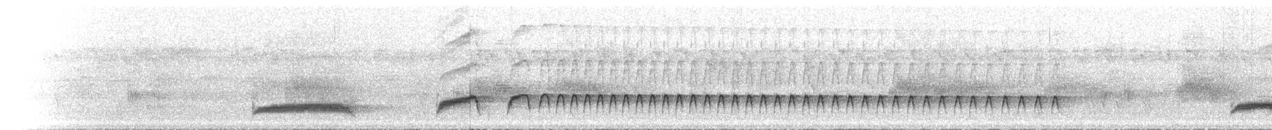 Weißbrust-Stelzenralle - ML501788361