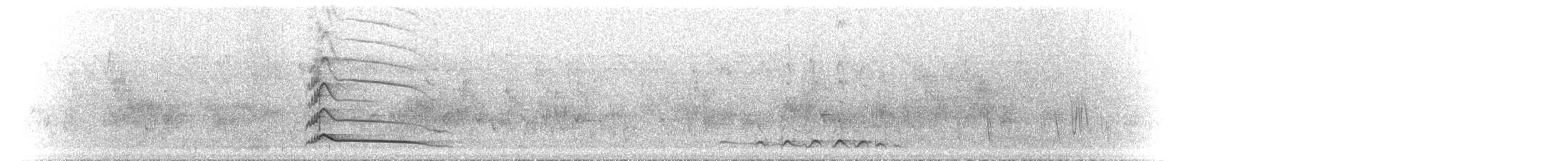 Courol vouroudriou - ML501788411