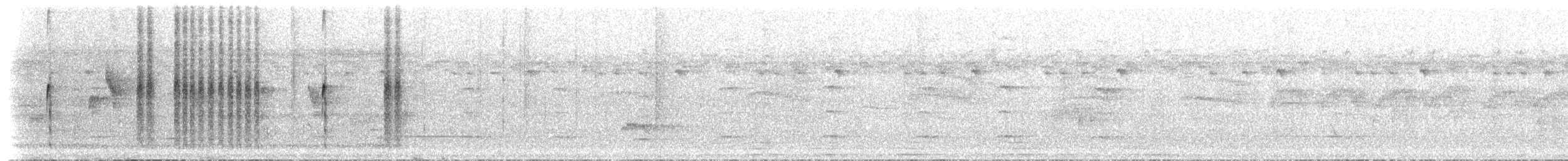 Martin-pêcheur malgache - ML501788421