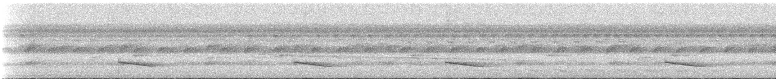 Slaty-capped Shrike-Vireo (Slaty-capped) - ML501790081