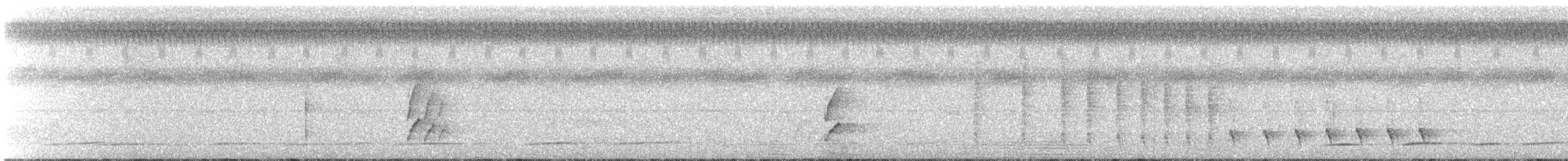 Пестрогрудый тоди-тиранн - ML501796991