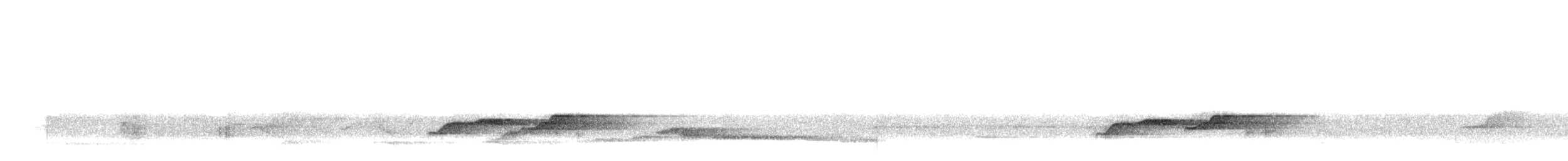 White-chested Babbler - ML501814331