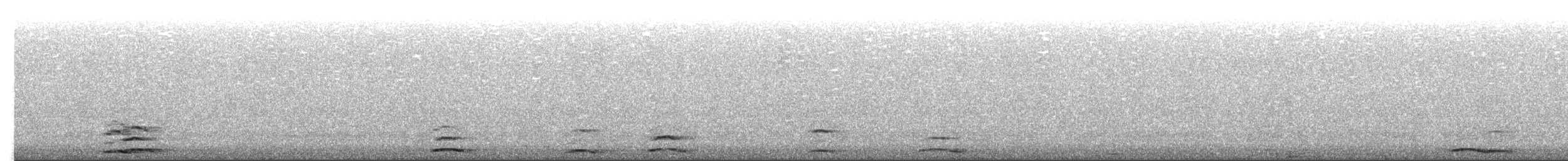 Cygne siffleur - ML501826941