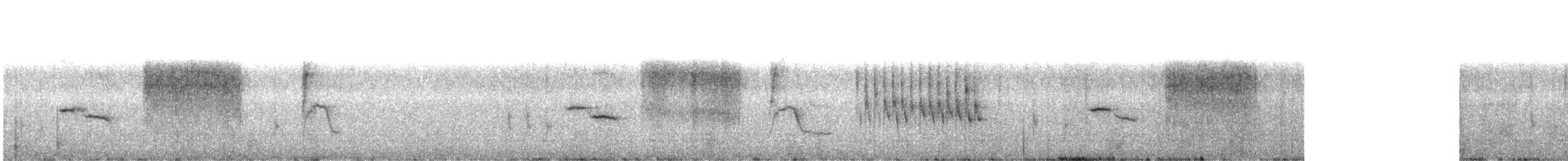 engsmett (aequatorialis) - ML501863201