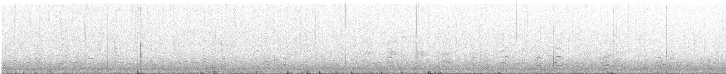 Малая канадская казарка (minima) - ML501874591